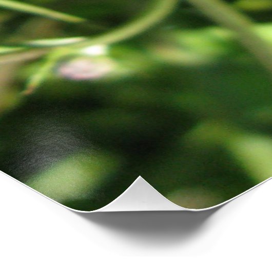 Glanzend Poster (Hoek)