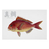 Glanzend Poster (Voorkant)