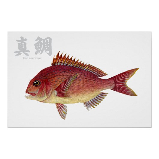 Glanzend Poster (Voorkant)