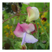 Glanzend Poster (Voorkant)