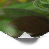 Glanzend Poster (Hoek)