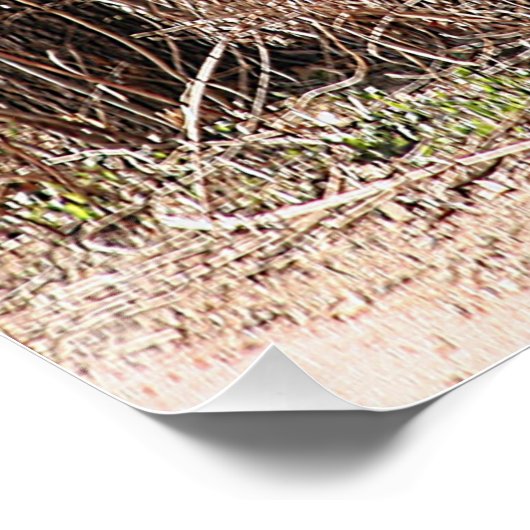 Glanzend Poster (Hoek)