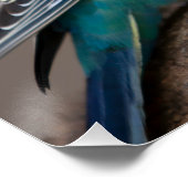 Glanzend Poster Liefde Zwart Kleur Tekst Vogeltjes (Hoek)