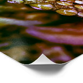 Glanzend poster, splash kleuren regendruppels op b perfect poster (Hoek)