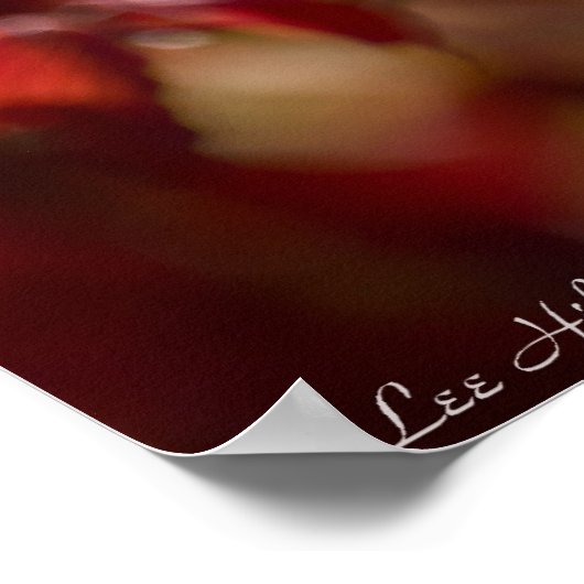 Glanzend rood en Oranje herfst laat Poster (Hoek)