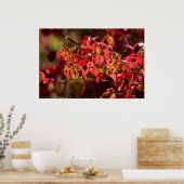 Glanzend rood en Oranje herfst laat Poster (Keuken)