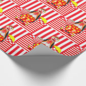Glanzend wrapppapier, rode strepe popcorn cadeaupapier (Hoek)