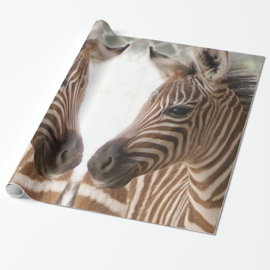 Glanzend Zebra voor opvulpapier Cadeaupapier (Uitgerold)