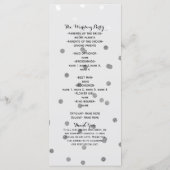 Glanzend Zilveren Glamour Glam Chique Modern Progr Programmakaart (Achterkant)