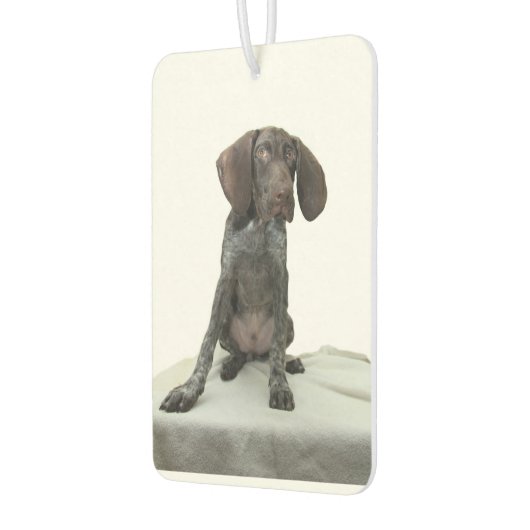 Glanzende grizzly luchtverfrisser (Links)