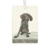 Glanzende grizzly luchtverfrisser (Achterkant)