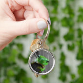 glanzende groene kikker sleutelhanger (Hand)
