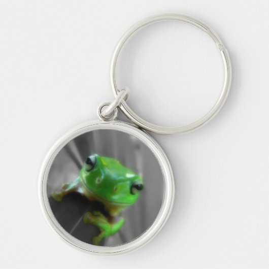 glanzende groene kikker sleutelhanger (Voorkant)
