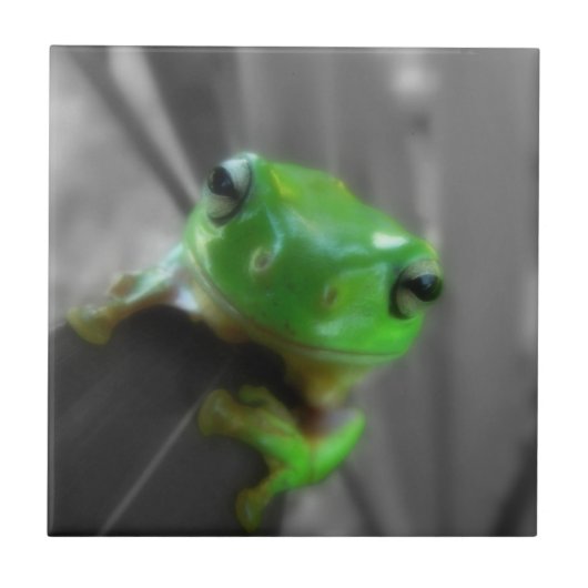 glanzende groene kikker tegeltje (Voorkant)