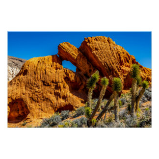 Glanzende Kissing Turtle Rock Perfect Poster