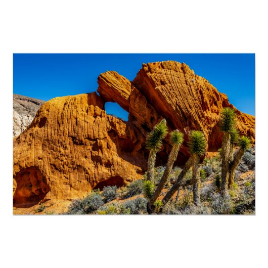 Glanzende Kissing Turtle Rock Perfect Poster (Voorkant)