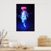 Glanzende kwal poster (Keuken)