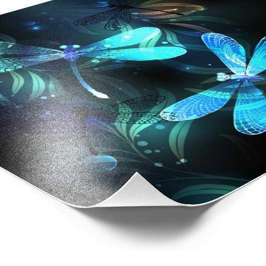 Glanzende Libellenmeer Foto Afdruk (Hoek)