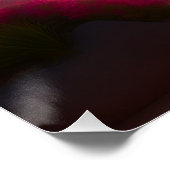 Glänzende Poster (Hoek)