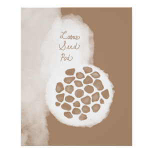 glanzende poster met lotuszaadpeul objet_11
