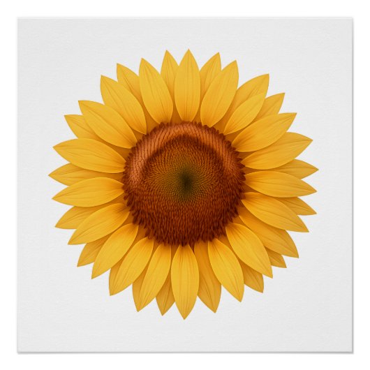 Glanzende Poster - Zonnebloem (Voorkant)