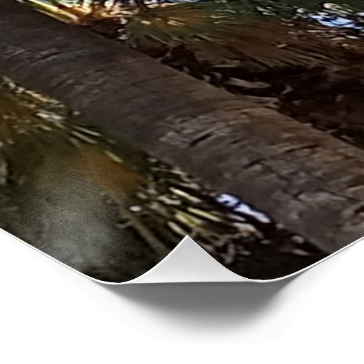 Glanzende Posters palmbomen (Hoek)