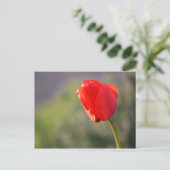 Glanzende rode tulp briefkaart (Staand voorkant)