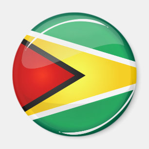 Glanzende ronde Guyanese vlag Magneet