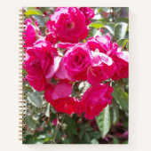 Glanzende Rozen Bullet Notitieboek (Voorkant)