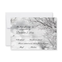 Glanzende Sneeuw en Ijs Winter RSVP + Menu