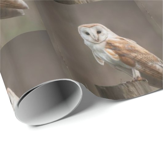 Glanzende wrapping Papierhoen Cadeaupapier (Rol Hoek)