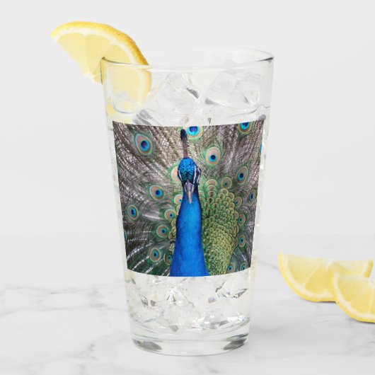 Glas 002 - Peacock (Voorkant ijs)