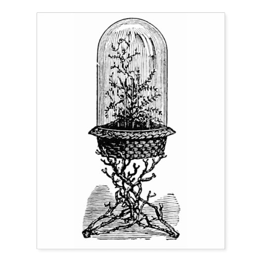  glas Dome Terrarium Rubber Art Stempel (Afrduk)