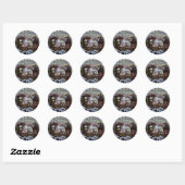 Glas in lood Art Nouveau Zee Scene Ronde Sticker (Vel)