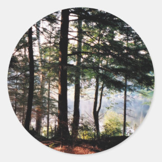Glas in lood Forest Ronde Sticker