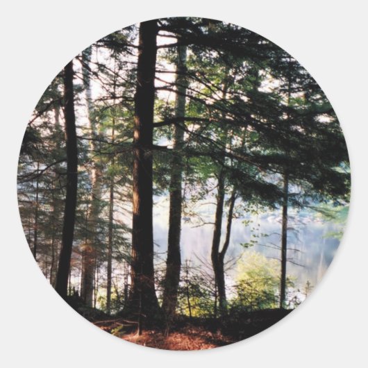 Glas in lood Forest Ronde Sticker (Voorkant)