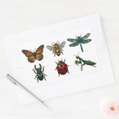 Glas-in-lood Insecten & Bugs Sticker Set (Envelop)