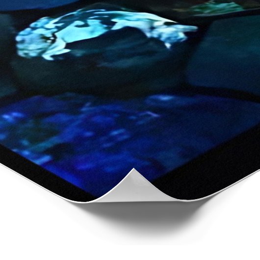 Glas in lood Koi Harmony Poster (Hoek)