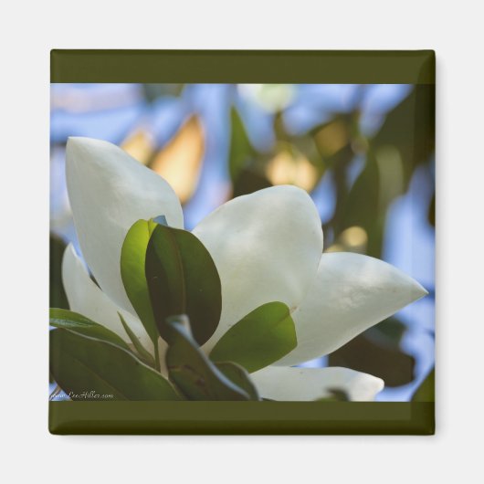 Glas in lood Sky Southern Magnolia Gifts Apparel Magneet (Voorkant)