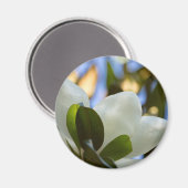 Glas in lood Sky Southern Magnolia Gifts Apparel Magneet (Voorkant / Achterkant)