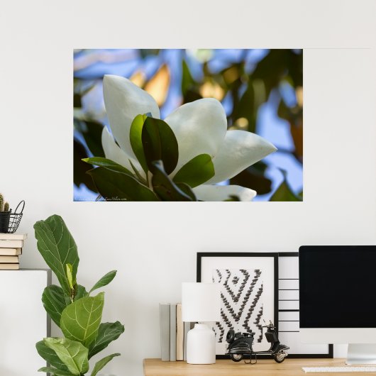 Glas in lood Sky Southern Magnolia Poster Print (Thuiskantoor)