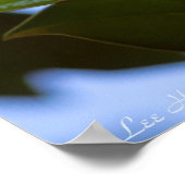 Glas in lood Sky Southern Magnolia Poster Print (Hoek)