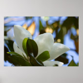 Glas in lood Sky Southern Magnolia Poster Print (Voorkant)