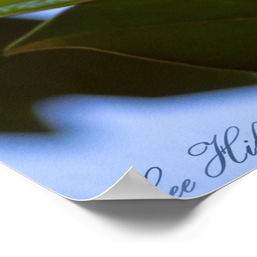 Glas in lood Sky Southern Magnolia Poster Print (Hoek)