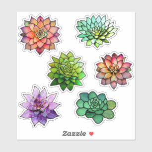 Glas in lood Succulenten Sticker