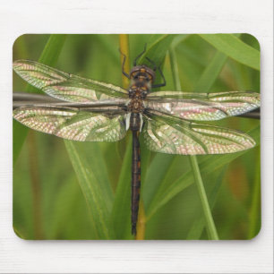 Glas in lood Wings Dragonfly Mousepad Muismat