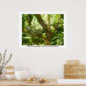 "Glas in lood Wings" Poster (Keuken)