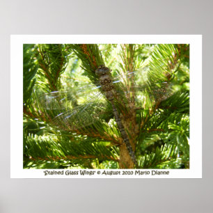 "Glas in lood Wings" Poster