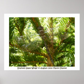 "Glas in lood Wings" Poster