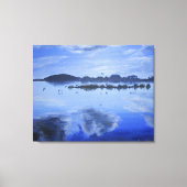 Glas meer, spiegelreflecties, vogels, wolken canvas afdruk (Voorkant)